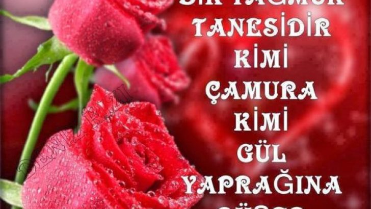 Güzel Mesajlar