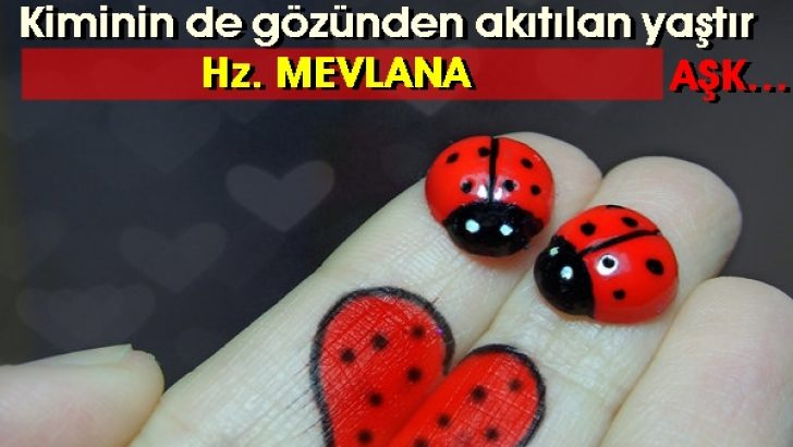 En Güzel Sözler Aşk