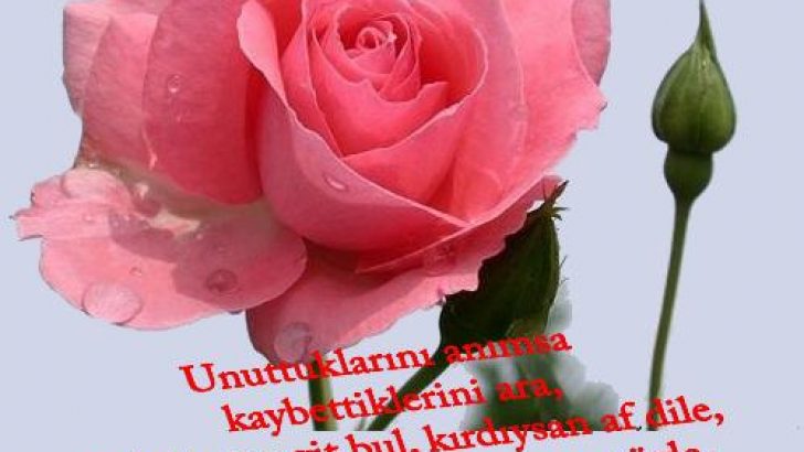 Güzel Bayram Mesajları ve Görselleri