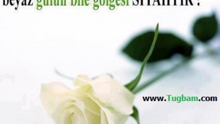Kısa Sevgi Mesajları 2016