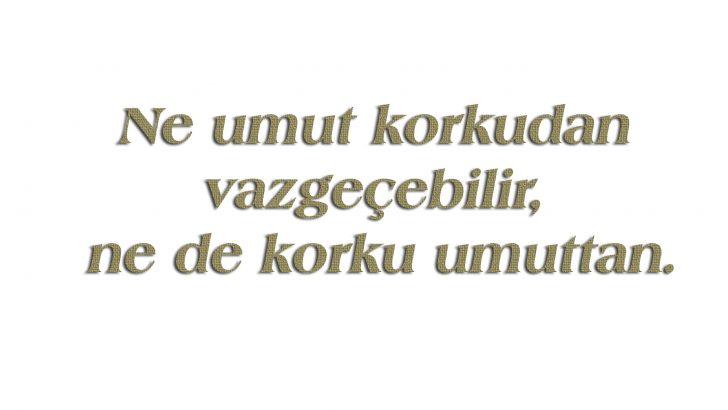 Spinoza Sözleri