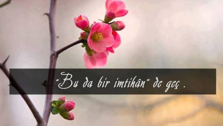 İmtihan Sözleri