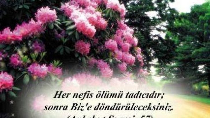 Başsağlığı Mesajları